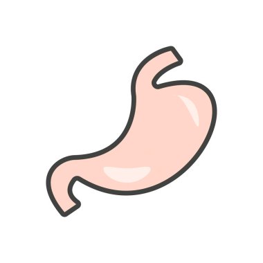 Şeffaf bir arkaplanda mide vektör çizimi. Konsept ve grafik tasarım için vektör çizgisi düz simgesi..