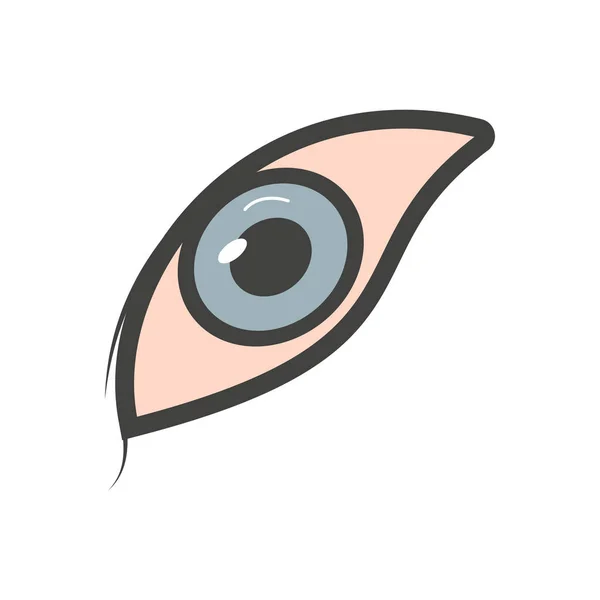 Eye Vector Illustration Transparent Background Premium Quality Symbols Vector Line — Wektor stockowy