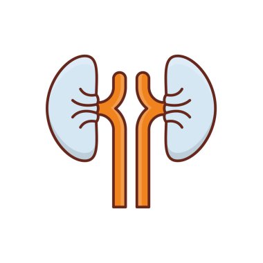 Şeffaf bir arkaplanda böbrek vektör çizimi. Konsept ve grafik tasarım için vektör çizgisi düz simgesi..