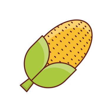 Şeffaf bir arkaplan üzerinde mısır vektör çizimi. Konsept ve grafik tasarım için mükemmel kalite semboller.. 