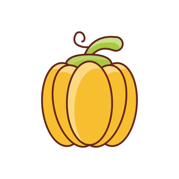 Pumpkin Vector Illustration Transparent Background Premium Quality Symbols Vector Line — Stock Vector