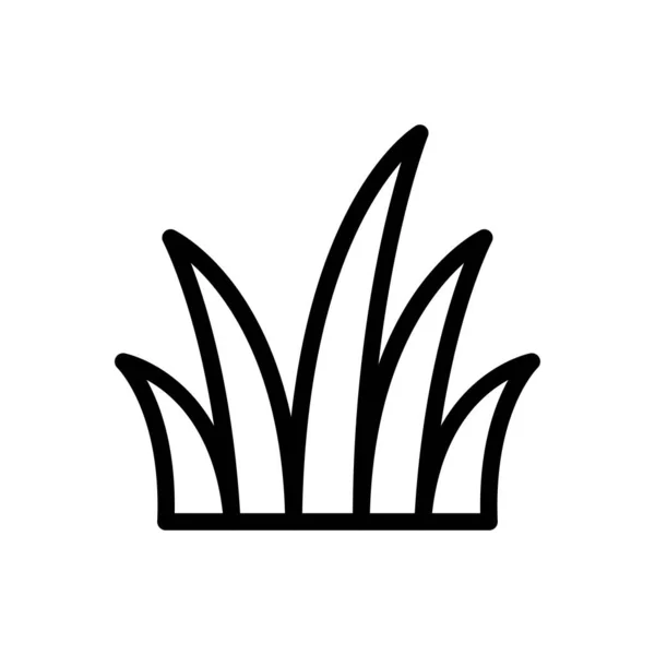 透明背景のアロエベラ植物ベクトル図 プレミアム品質の象徴概念とグラフィックデザインのための細い線のアイコン — ストックベクタ