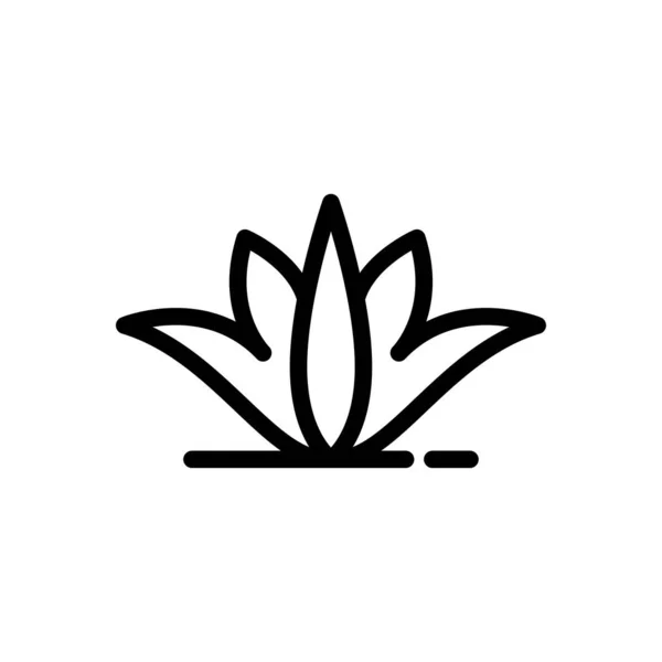 Ilustracja Wektora Aloesu Przejrzystym Tle Symbole Jakości Premium Cienka Ikona — Wektor stockowy