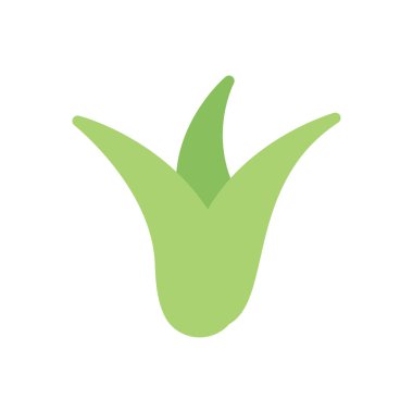 Şeffaf bir arkaplan üzerinde aloe vera vektör çizimi. Konsept ve grafik tasarım için premimium kalite simgeleri..