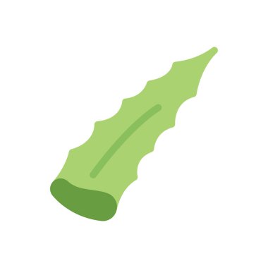Şeffaf bir arkaplan üzerinde aloe vera parça vektör çizimi. Konsept ve grafik tasarım için premimium kalite simgeleri..