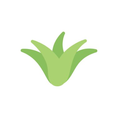 Şeffaf bir arkaplan üzerinde aloe vera vektör çizimi. Konsept ve grafik tasarım için premimium kalite simgeleri..
