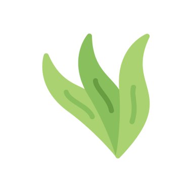 Saydam bir arkaplan üzerinde aloe vera aristata vektör çizimi. Konsept ve grafik tasarım için premium kalite simgeleri..