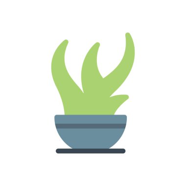 Şeffaf bir arkaplanda güzellik vektörü çizimi. Konsept ve grafik tasarım için kaliteli semboller..