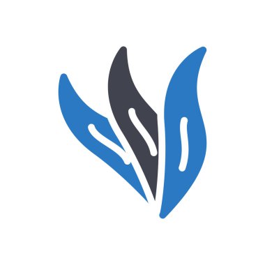 Şeffaf bir arkaplan üzerinde aloe vera aristata vektör çizimi. Konsept ve grafik tasarım için özel kalite semboller..