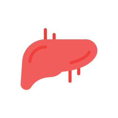Şeffaf bir arkaplan üzerinde karaciğer vektör çizimi. Konsept ve grafik tasarımı için kaliteli semboller..