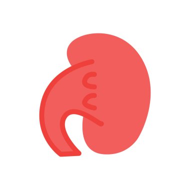 Şeffaf bir arkaplan üzerinde böbrek vektör çizimi. Konsept ve grafik tasarım için birinci sınıf kalite semboller..