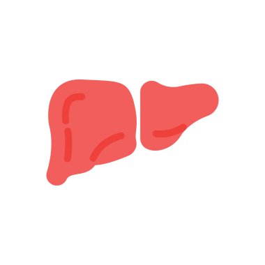 Şeffaf bir arkaplan üzerinde karaciğer vektör çizimi. Konsept ve grafik tasarımı için kaliteli semboller..