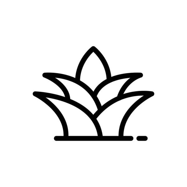 Aloe Vera Φυτό Διανυσματική Απεικόνιση Ένα Διαφανές Φόντο Premium Σύμβολα — Διανυσματικό Αρχείο