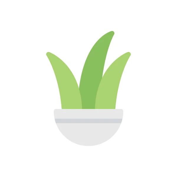 Illustrazione Vettoriale Della Pianta Aloe Vera Uno Sfondo Trasparente Simboli — Vettoriale Stock