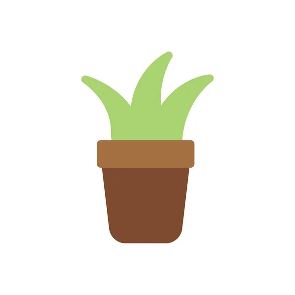 Aloe Vera Planta Vector Ilustración Sobre Fondo Transparente Símbolos Calidad — Vector de stock