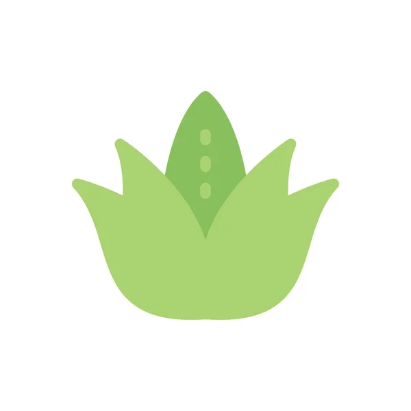 Ilustração Vetor Planta Aloe Vera Fundo Transparente Símbolos Qualidade Premium — Vetor de Stock