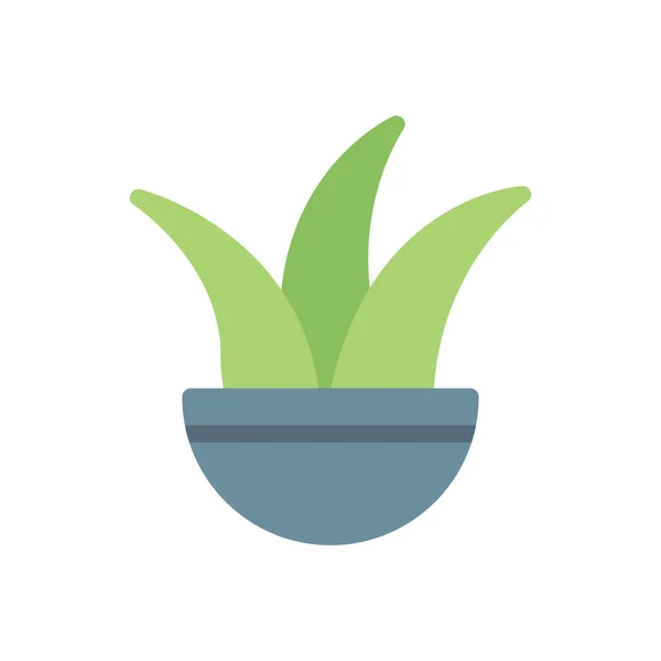 Aloe Vera Planta Vector Ilustración Sobre Fondo Transparente Símbolos Calidad — Archivo Imágenes Vectoriales