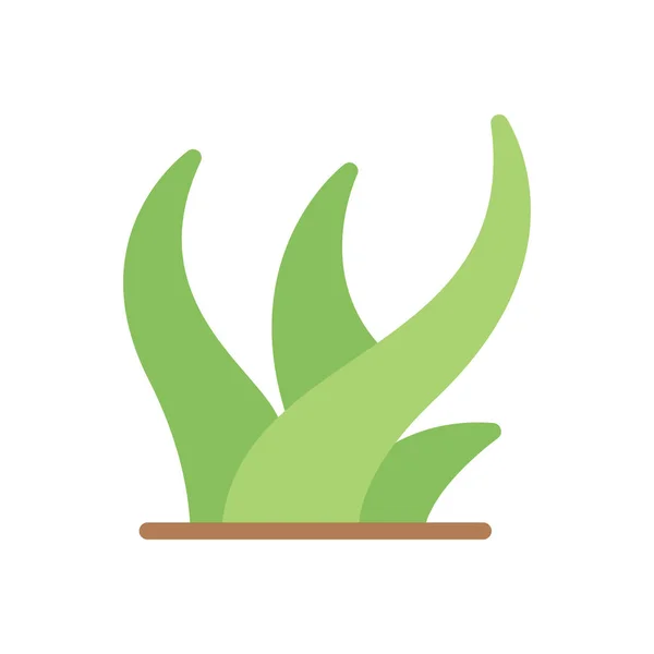 Ilustración Vectores Plantas Verdes Sobre Fondo Transparente Símbolos Calidad Premium — Vector de stock