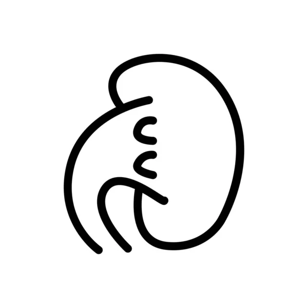 Векторні Ілюстрації Нирки Прозорому Фоні Символи Якості Премій Піктограма Тонкої — стоковий вектор