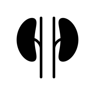 Şeffaf bir arkaplanda böbrek vektör çizimi. Konsept ve grafik tasarım simgeleri için kaliteli semboller.. 