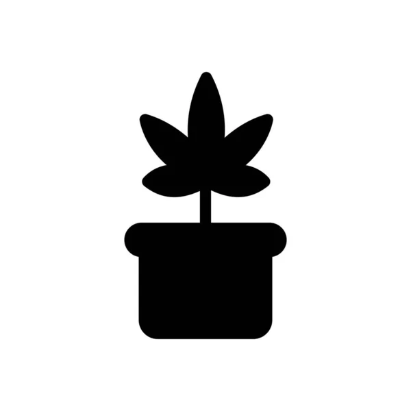 Marijuana Vector Illustration Transparent Background Premium Quality Symbols Glyphs Icon — 스톡 벡터