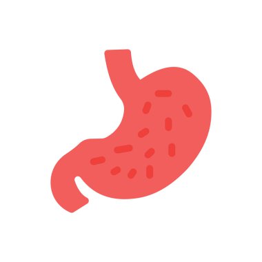 Saydam bir arkaplan üzerinde mide vektör çizimi. Konsept ve grafik tasarım için birinci sınıf kalite simgeler..