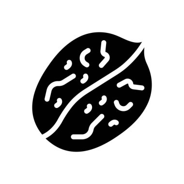 şeffaf bir arkaplan üzerinde ceviz vektör çizimi. Konsept ve grafik tasarımı için mükemmel kalite semboller.. 