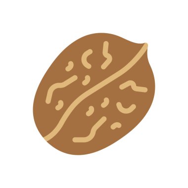 şeffaf bir arkaplan üzerinde ceviz vektör çizimi. Konsept ve grafik tasarım için mükemmel kalite simgeleri..