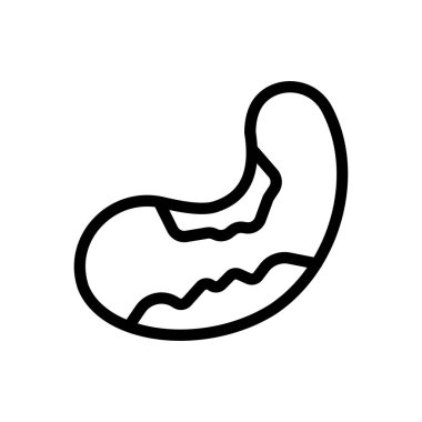 Şeffaf bir arkaplan üzerinde fasulye vektör çizimi. Konsept ve grafik tasarım için ince çizgi simgesi..