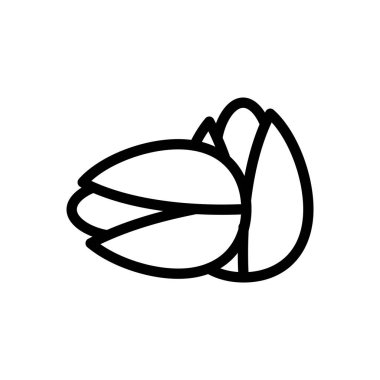 Şeffaf arkaplan üzerinde şam fıstığı vektör çizimi. Konsept ve grafik tasarım için ince çizgi simgesi..