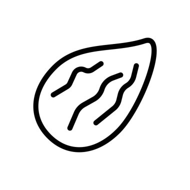 Şeffaf bir arkaplanda badem vektör çizimi. Konsept ve grafik tasarım için ince çizgi simgesi.. 