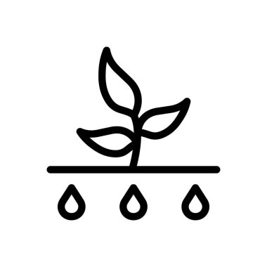 Şeffaf bir arkaplanda bitki vektör çizimi. Premium kalite semboller. Konsept ve grafik tasarım için ince çizgi simgesi.