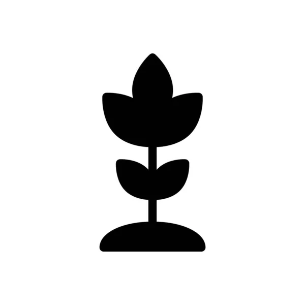 Рослина Векторна Ілюстрація Прозорому Фоні Символи Якості Премій Піктограма Гліфів — стоковий вектор