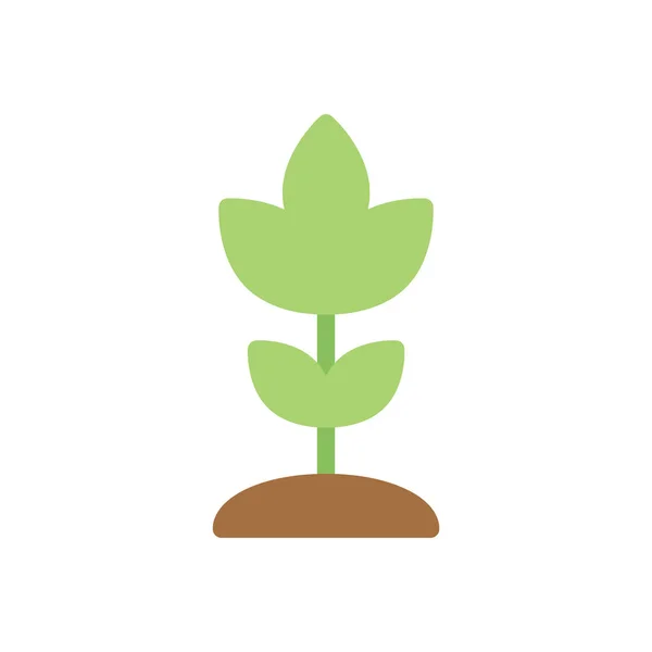 Növényi Vektor Illusztráció Átlátszó Háttérrel Prémium Minőségű Szimbólumok Stroke Ikon — Stock Vector
