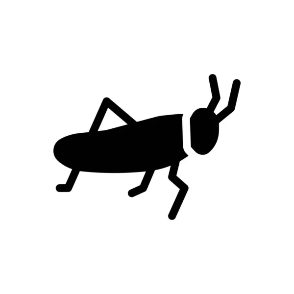 Cockroach Vector Illustration Transparent Background Premium Quality Symbols Glyphs Icon — Stock Vector