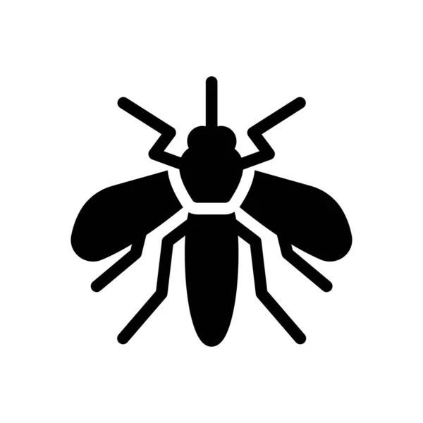 Insecten Vector Illustratie Een Transparante Achtergrond Premium Kwaliteit Symbolen Glyphs — Stockvector