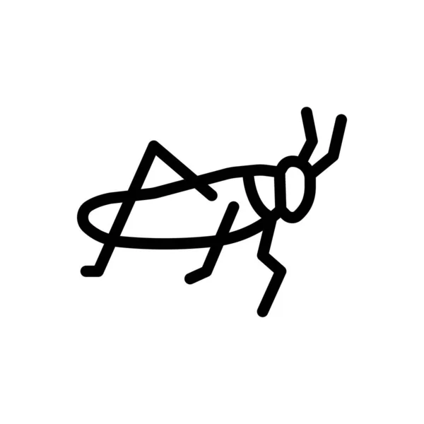 透明背景下的蟑螂矢量图解 高级质量符号 概念和图形设计用的细线图标 — 图库矢量图片