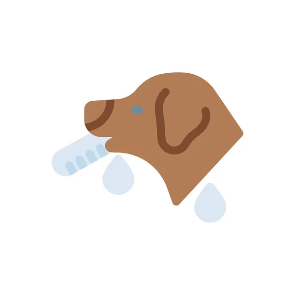 Εικονογράφηση Διάνυσμα Σκύλου Διαφανές Φόντο Premium Σύμβολα Ποιότητας Εικονίδιο Εγκεφαλικό — Διανυσματικό Αρχείο