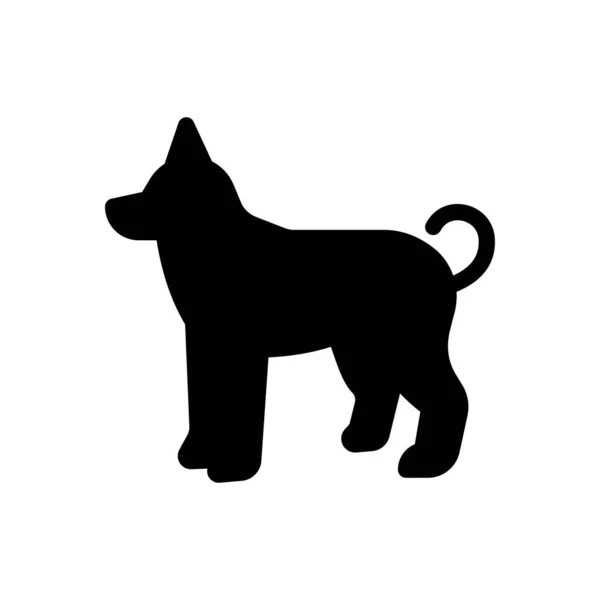 Dog Vector Illustration Transparent Background Premium Quality Symbols Glyphs Icon —  Vetores de Stock