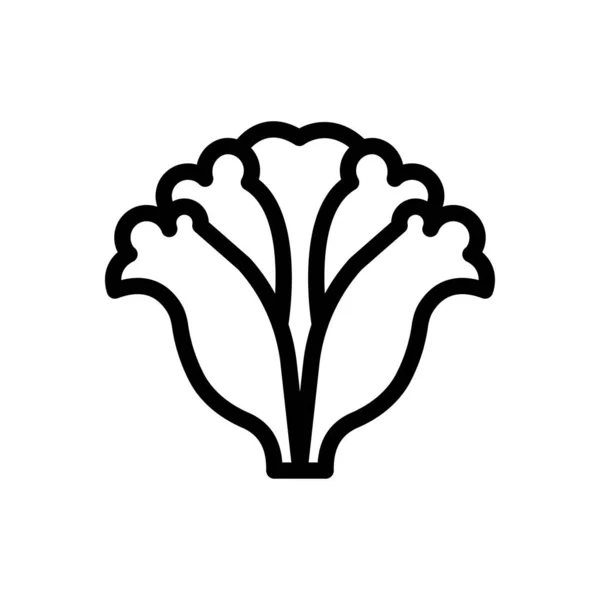 Капуста Векторні Ілюстрації Прозорому Фоні Символи Якості Премій Піктограма Тонкої — стоковий вектор