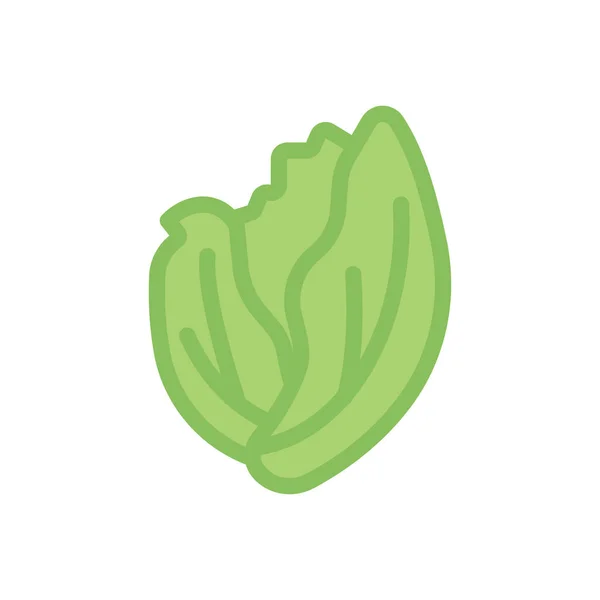 Cabbage Vector Illustration Transparent Background Premium Quality Symbols Stroke Icon — Vector de stock