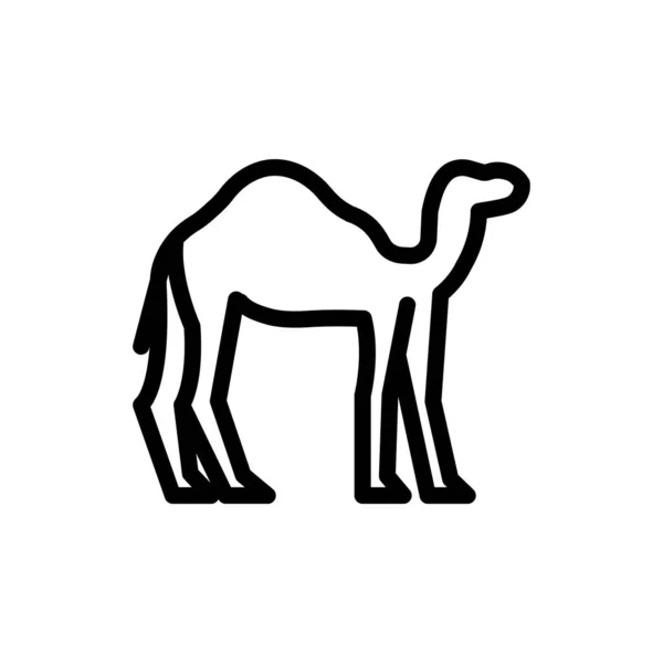 Camel Vector Illustration Transparent Background Premium Quality Symbols Thin Line — Vettoriale Stock