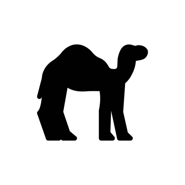 Camel Vector Illustration Transparent Background Premium Quality Symbols Glyphs Icon — Vector de stock