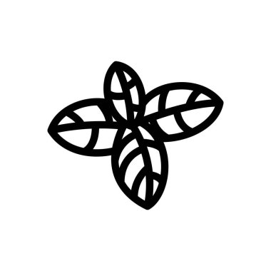 basil vector illustration on a transparent background.Premium quality symbols.Thin line icon for concept and graphic design. 