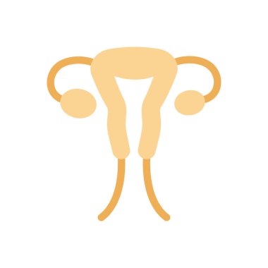 vagina vector illustration on a transparent background.Premium quality symbols.Stroke icon for concept and graphic design.
