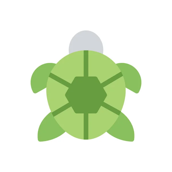 Tortoise Vector Illustration Transparent Background Premium Quality Symbols Stroke Icon —  Vetores de Stock