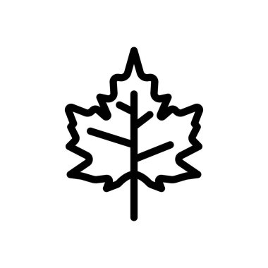 maple vector illustration on a transparent background.Premium quality symbols.Thin line icon for concept and graphic design.