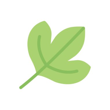 Saydam bir arkaplan üzerinde yaprak vektör çizimi. Konsept ve grafik tasarım için birinci sınıf kalite simgeler.. 