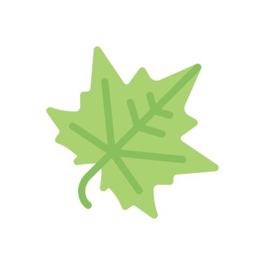 maple vector illustration on a transparent background.Premium quality symbols.Stroke icon for concept and graphic design.