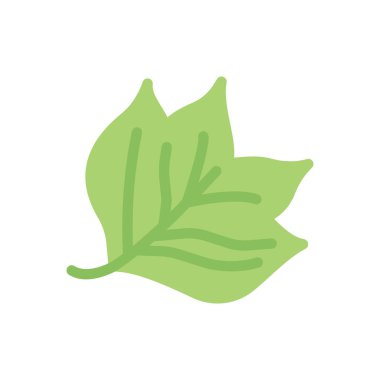 maple vector illustration on a transparent background.Premium quality symbols.Stroke icon for concept and graphic design.